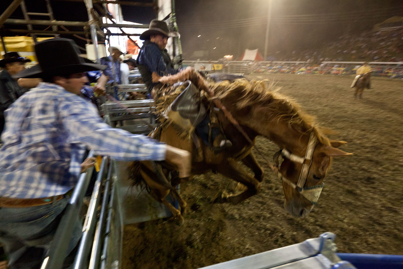 012_MacleanRodeo_MG_4835.jpg