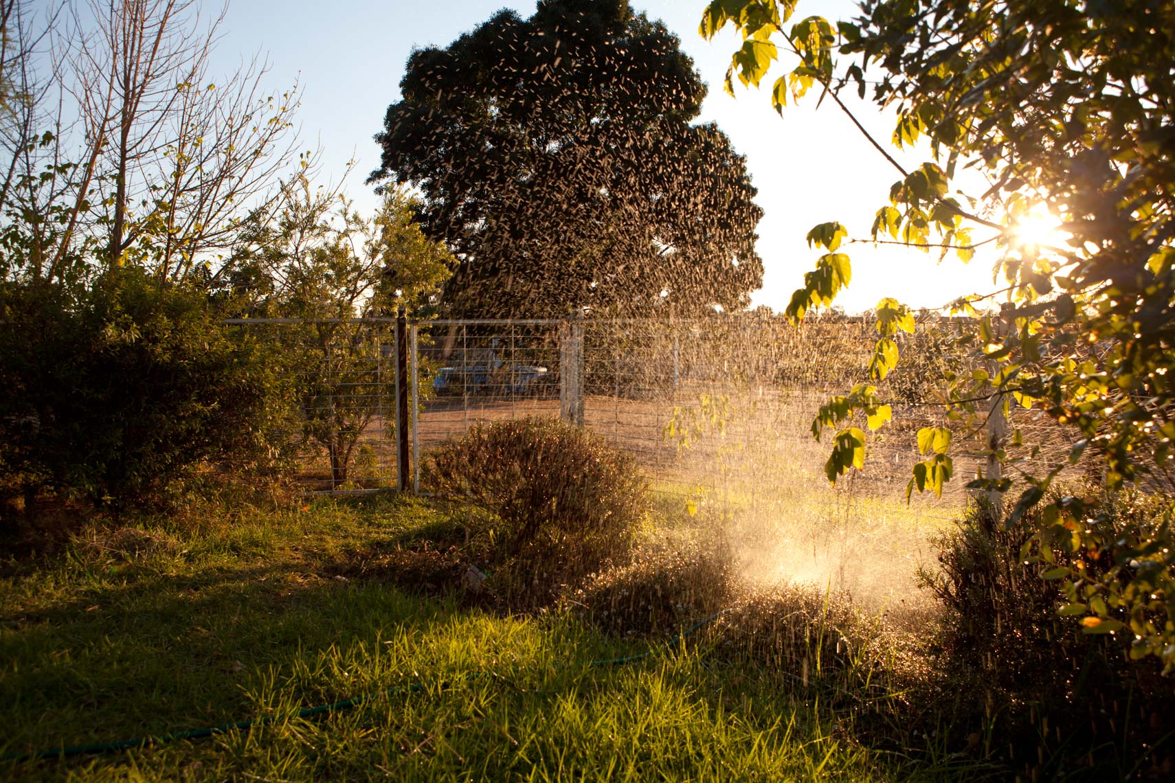 22_WEB_Landscapes_05_Sprinkler_1558_10